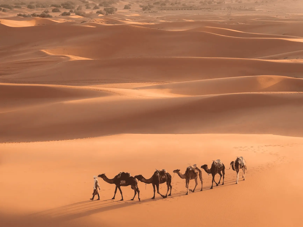 From Marrakech: 3-Day Merzouga and Sahara Desert Tour Hotels Booking Trips