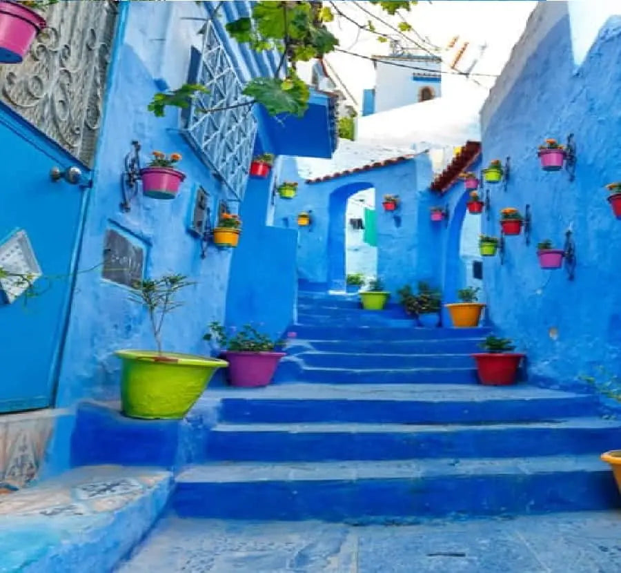 Chefchaouen Day Trip from Fez Shared Group Tour 