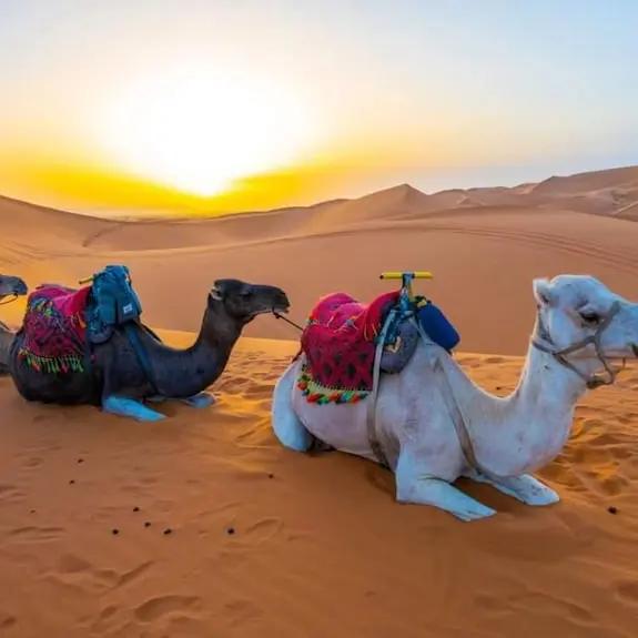 Desert Heart Luxury Camp merzouga Morocco Hotels Booking Trips