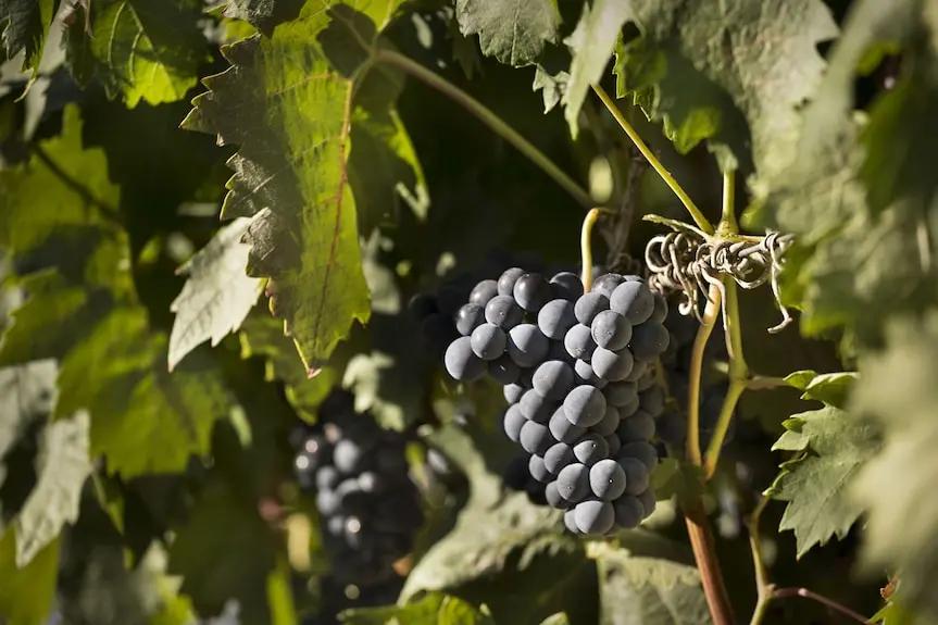 Hotel Eguren Ugarte Hotels Booking Trips