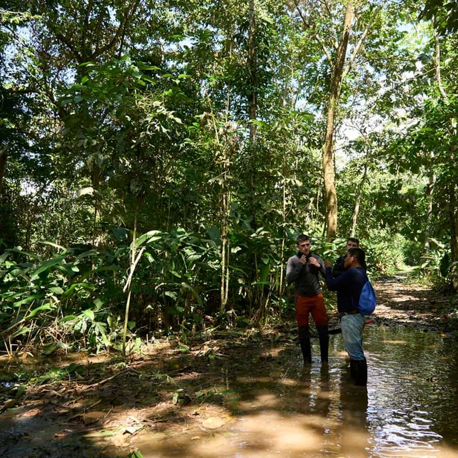 Iquitos: Amazon Adventure and Expedition 3-Day Tour Hotels Booking Trips