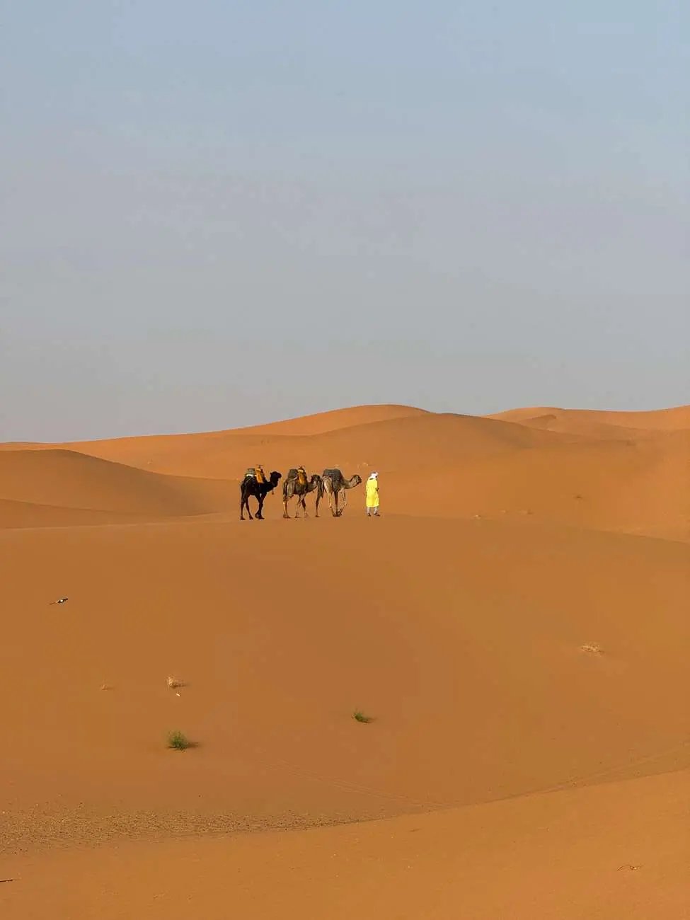 Majestic Desert: 3-Day Luxury Journey from Marrakech to Fes Hotels Booking Trips