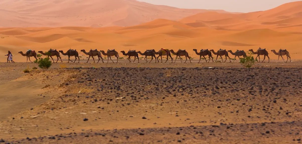 Hotel Kanz Erremal merzouga Morocco Booking hotels accommodation trip