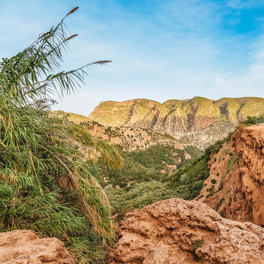 From Marrakech: Ouzoud Waterfalls Guided Hike and Boat Trip Hotels Booking Trips