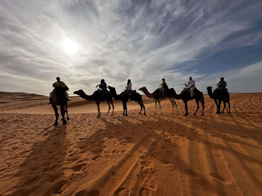 From Marrakech: 3-Day Sahara Tour with Private tent & Meals Hotels Booking Trips