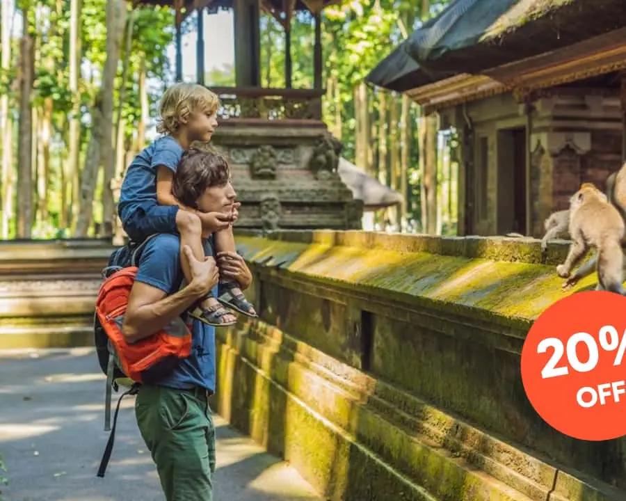 Ubud All Inclusive Tour with Optional Lunch Hotels Booking Trips