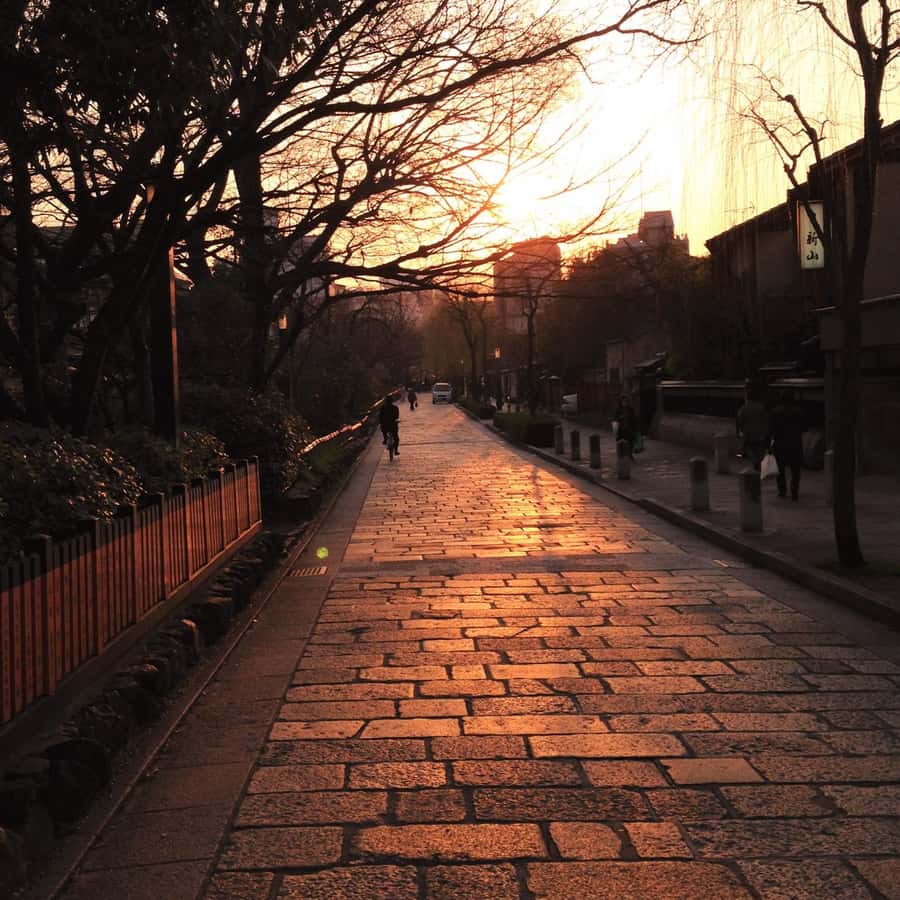 Kyoto: Gion Geisha District & Hidden Gems Walking Tour Hotels Booking Trips