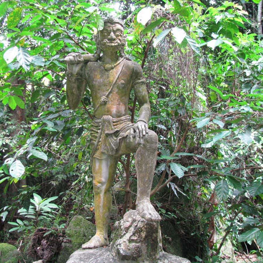 Koh Samui: Mr.Ung's 4WD Wild Jungle Safari Tour with Lunch Hotels Booking Trips