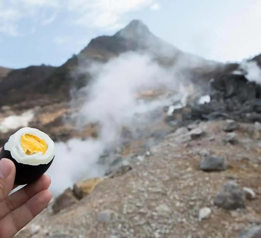 Tokyo: Mt. Fuji Tour, Hakone Ropeway, Owakudani, Lake Ashi Hotels Booking Trips