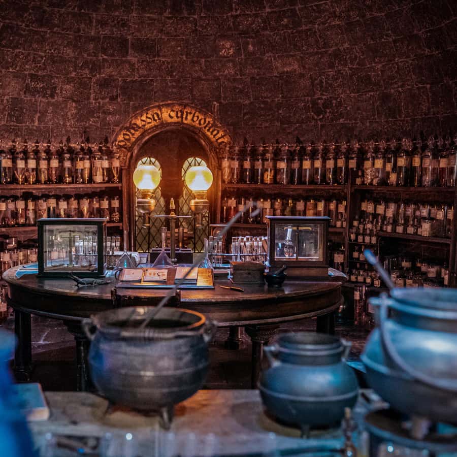 London Warner Bros Studio Harry Potter Tour & Branded Bus 