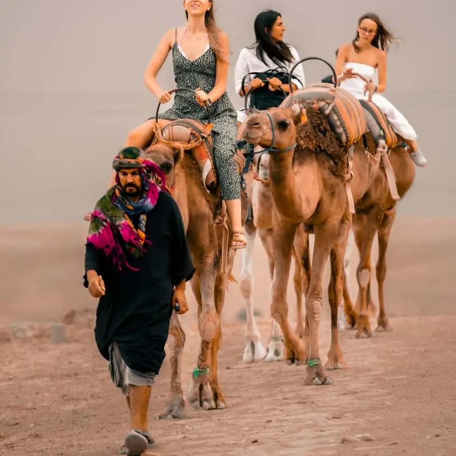 Marrakech: Agafay Desert Sunset, Camel Ride, and Dinner Show Hotels Booking Trips