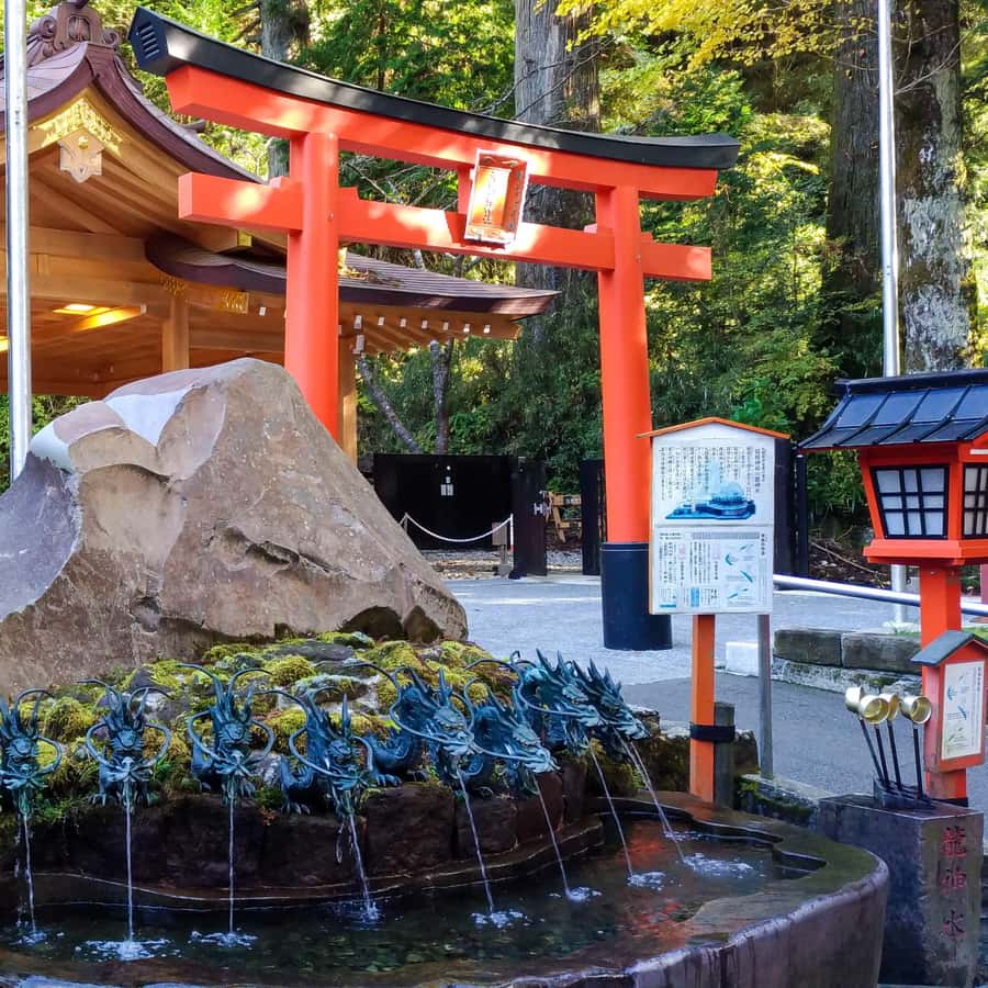 Tokyo: Mt. Fuji Tour, Hakone Ropeway, Owakudani, Lake Ashi Hotels Booking Trips