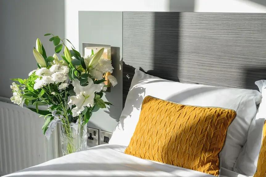 Newtown Park Hotel Booking hotels accommodation trip