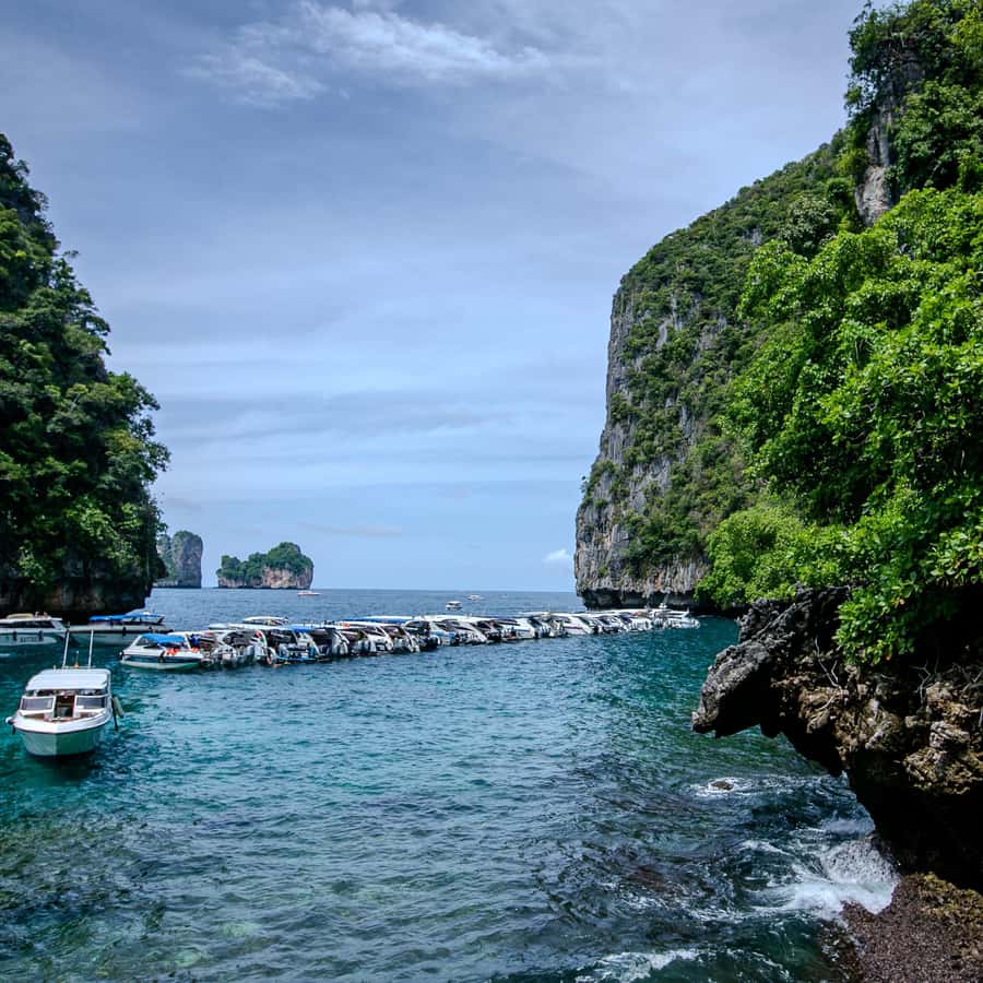 From Phi Phi Half Day Longtail Boat Tour with Snorkeling 