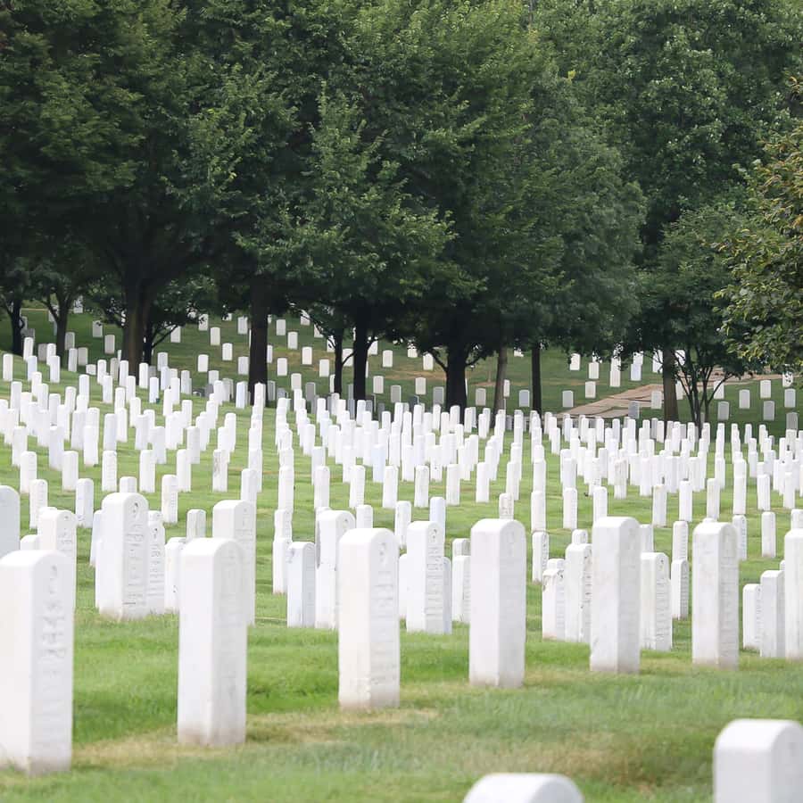 From NYC: Guided Day Trip to Washington DC by Van or Bus Hotels Booking Trips