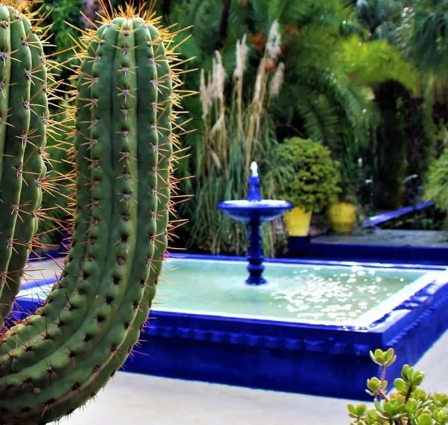 Marrakesh: Majorelle Garden Entry Tickets Hotels Booking Trips