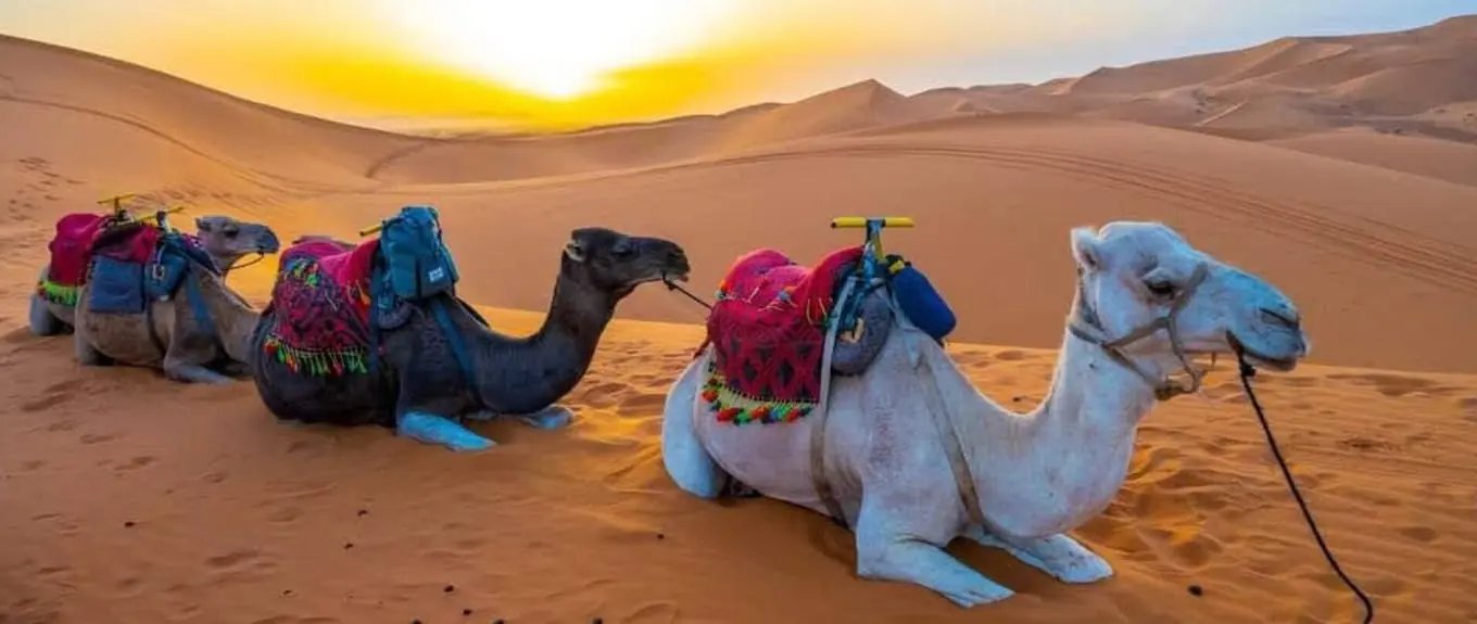 Desert Heart Luxury Camp merzouga Morocco Hotels Booking Trips