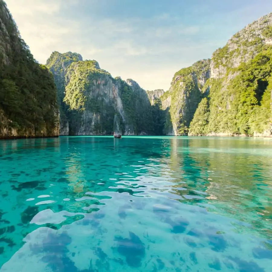 From Phi Phi Half Day Longtail Boat Tour with Snorkeling 
