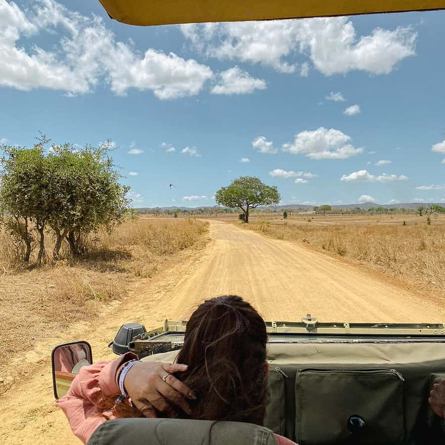 From Zanzibar: Mikumi Safari Day Trip with Flights and Lunch Hotels Booking Trips