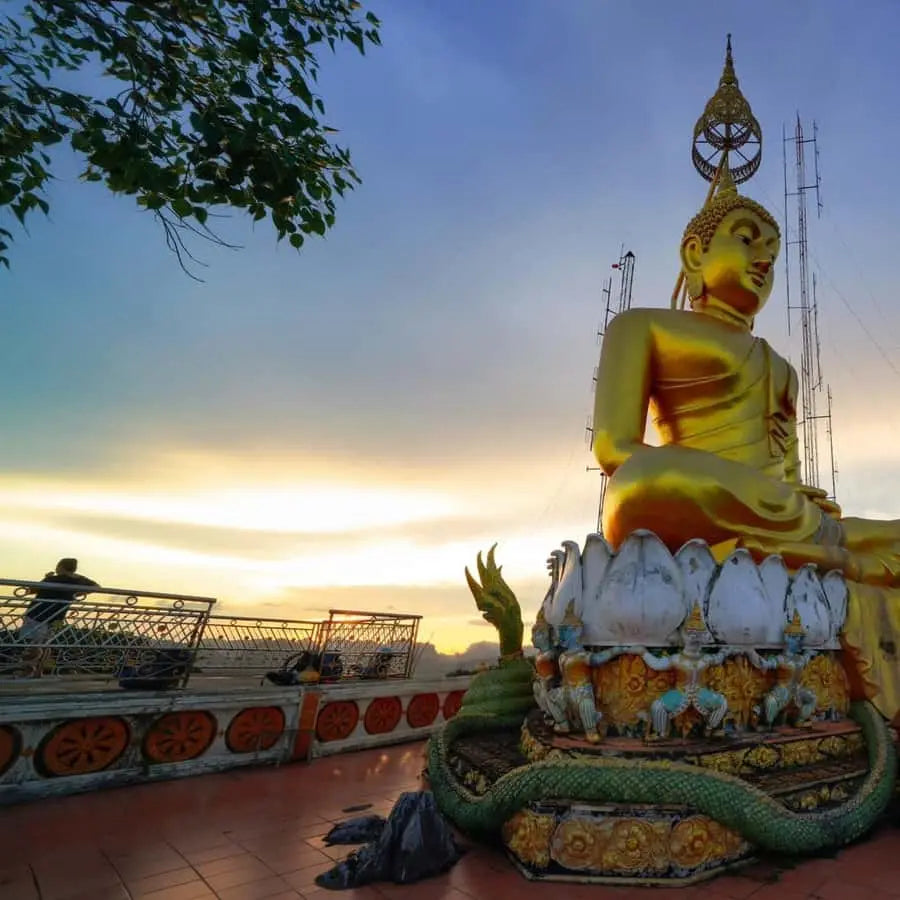 Krabi Tiger Cave, Hot Springs and Emerald Pool Jungle Tour 