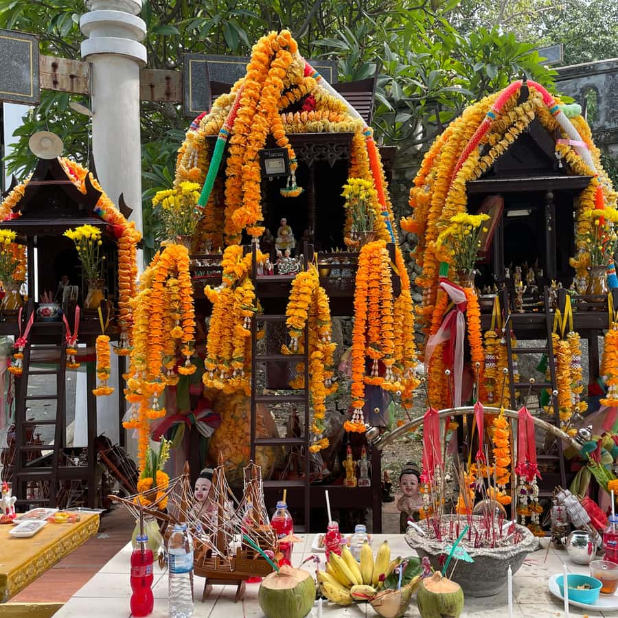 Koh Samui: Mr.Ung's 4WD Wild Jungle Safari Tour with Lunch Hotels Booking Trips