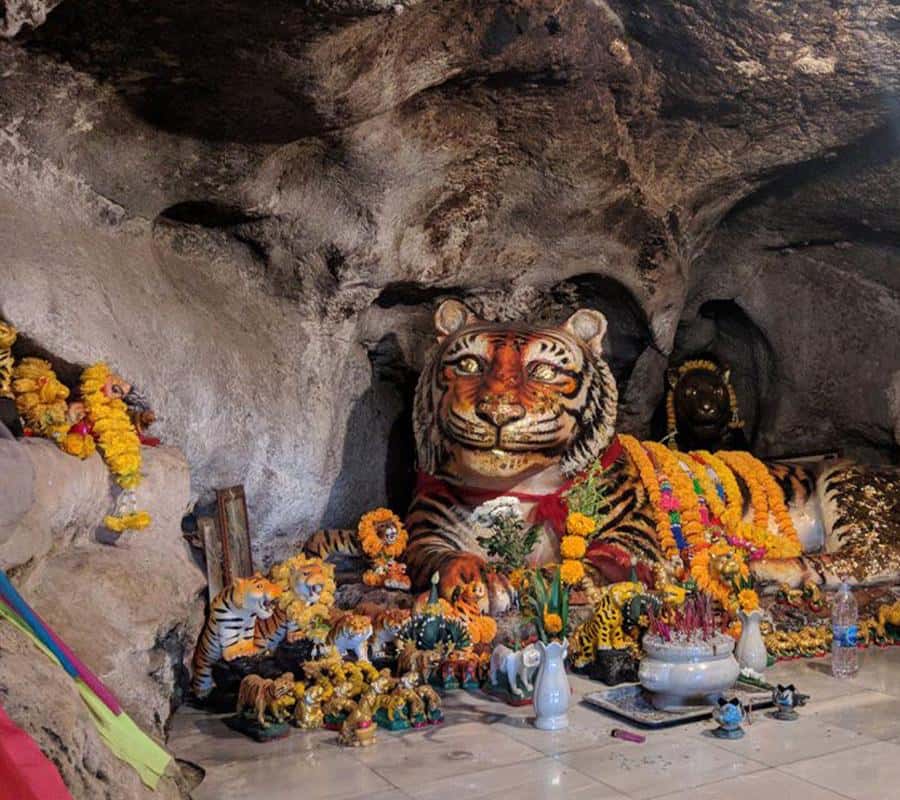 Krabi Tiger Cave, Hot Springs and Emerald Pool Jungle Tour 