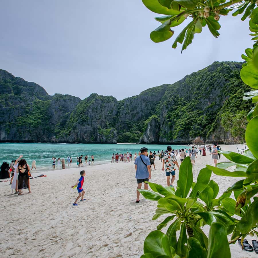 From Phi Phi Half Day Longtail Boat Tour with Snorkeling 