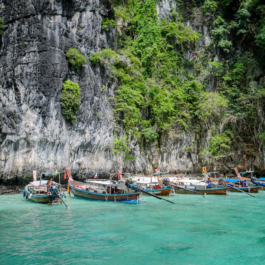 From Phi Phi Half Day Longtail Boat Tour with Snorkeling 