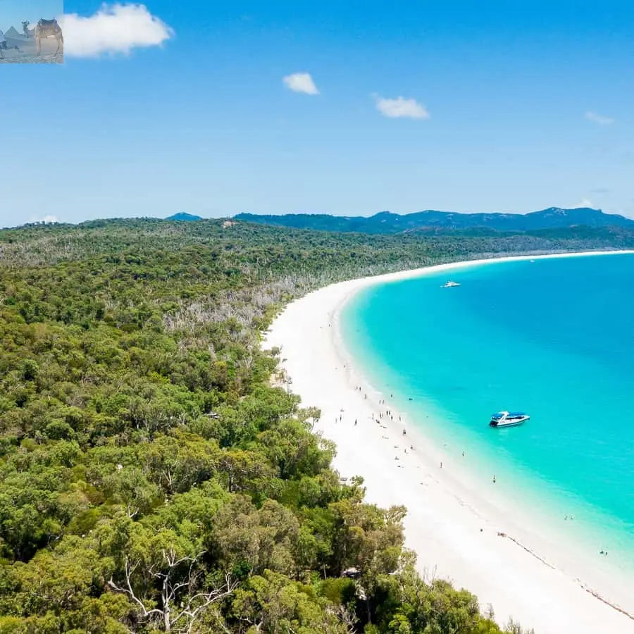 Airlie Beach Whitehaven Beach Day Tour with Snorkel Option