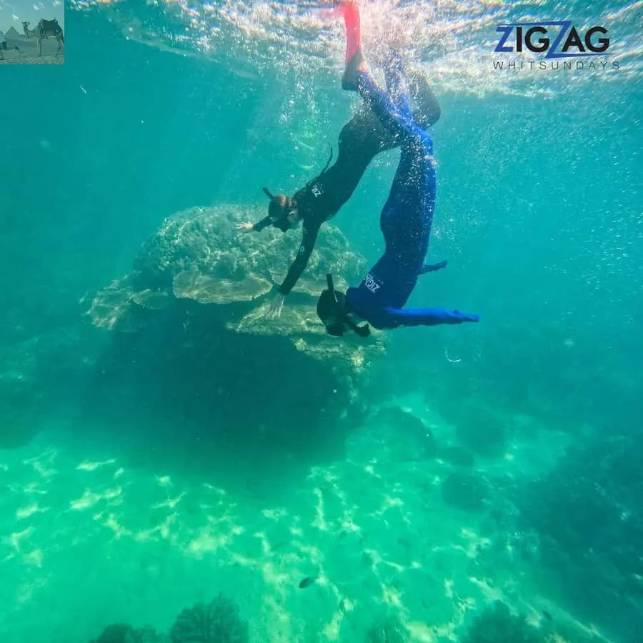 Airlie Beach Whitehaven Beach Day Tour with Snorkel Option 