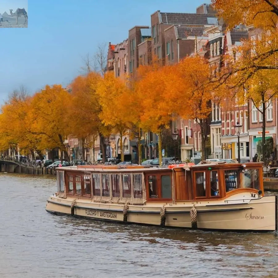 Amsterdam Luxury Canal Cruise with Unlimited Drinks & Bite