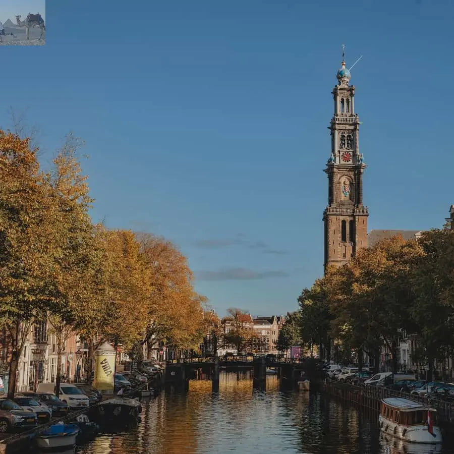 Amsterdam Luxury Canal Cruise with Unlimited Drinks & Bite 