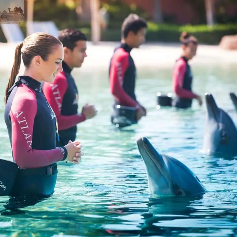 Aquaventure World Waterpark Day Pass at Atlantis Dubai 