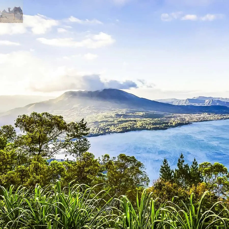 Bali Sunrise Mount Batur Hike with Breakfast