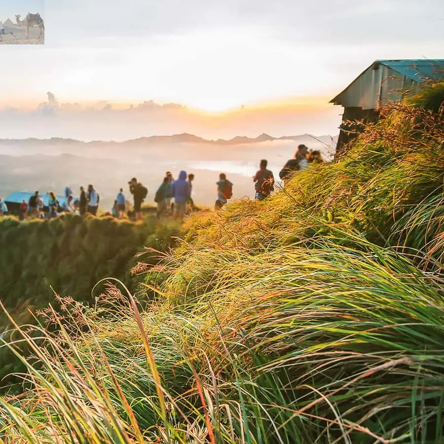 Bali Sunrise Mount Batur Hike with Breakfast 