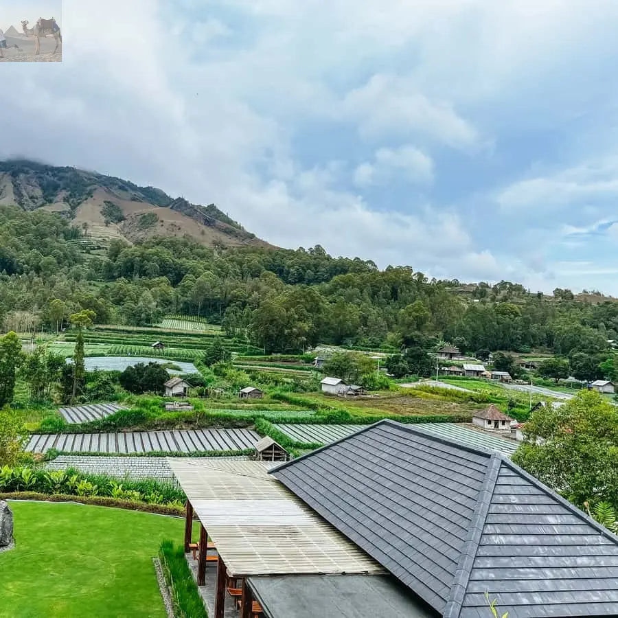 Bali Sunrise Mount Batur Hike with Breakfast 