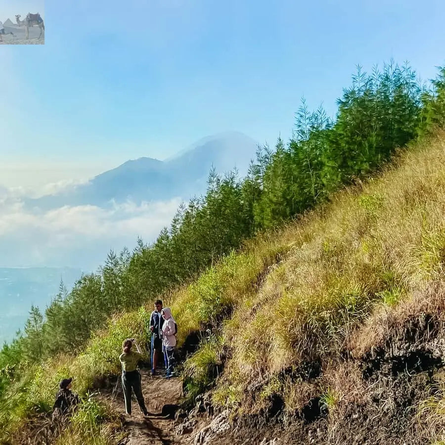 Bali Sunrise Mount Batur Hike with Breakfast 