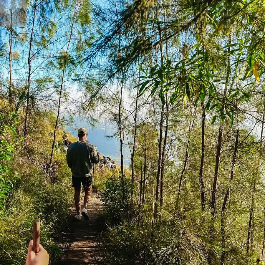 Bali Sunrise Mount Batur Hike with Breakfast 