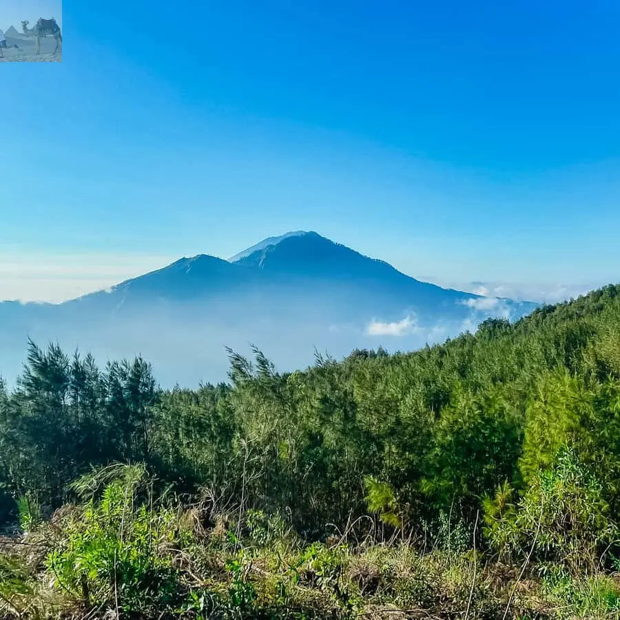 Bali Sunrise Mount Batur Hike with Breakfast 