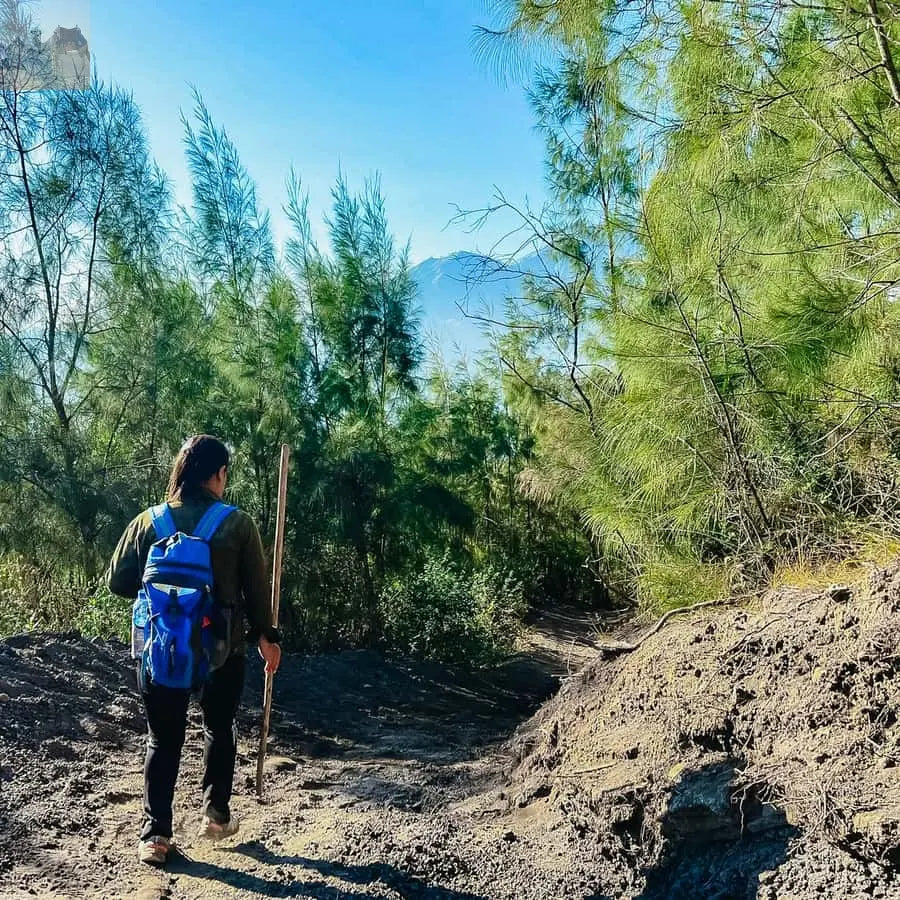 Bali Sunrise Mount Batur Hike with Breakfast 