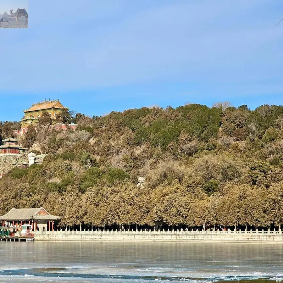 Beijing Tian'anmen Square, Forbidden City Tours 