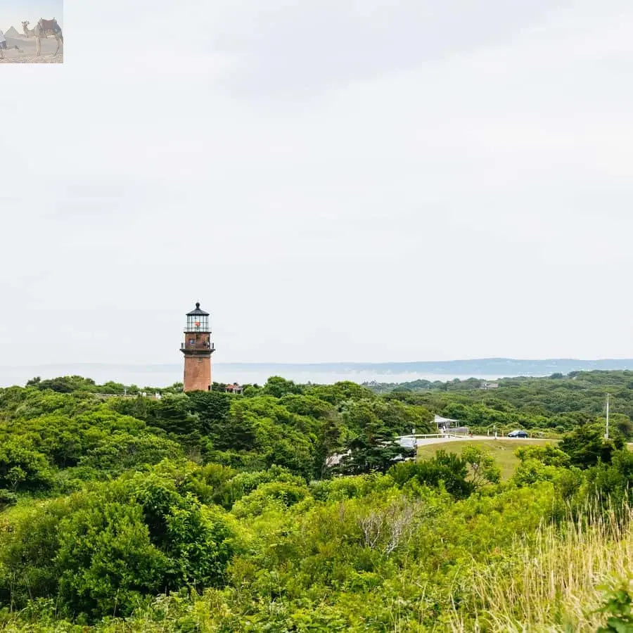 Boston Martha's Vineyard Day Trip with Optional Island Tour 