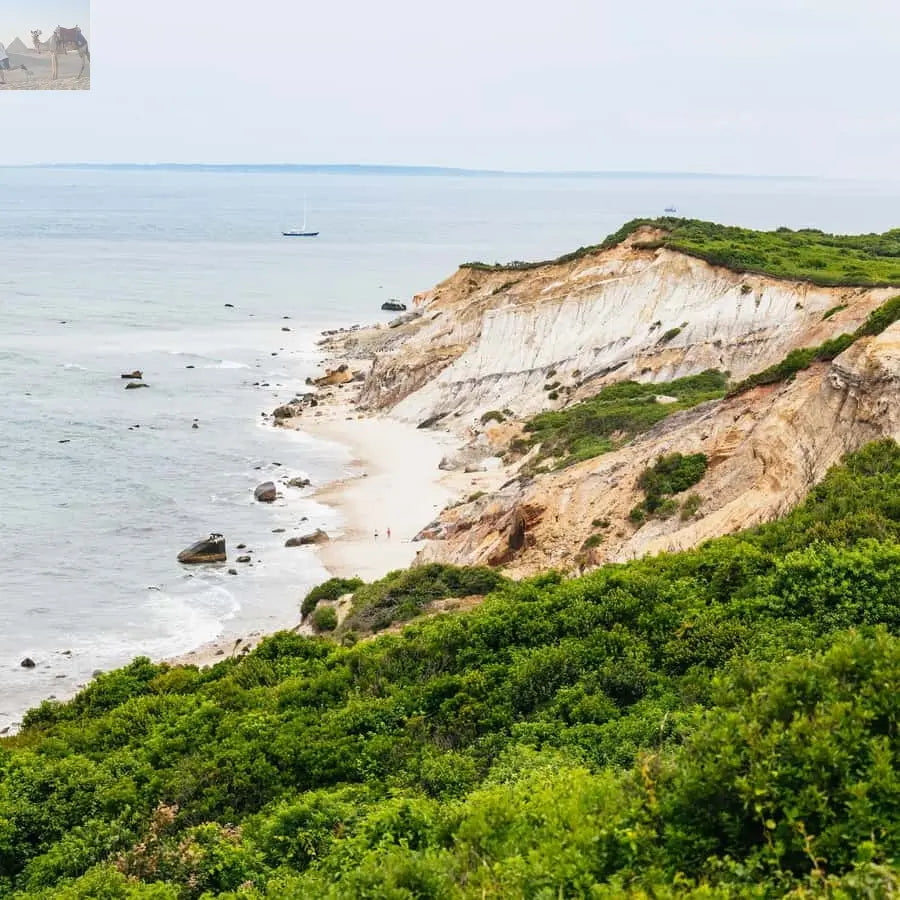 Boston Martha's Vineyard Day Trip with Optional Island Tour 