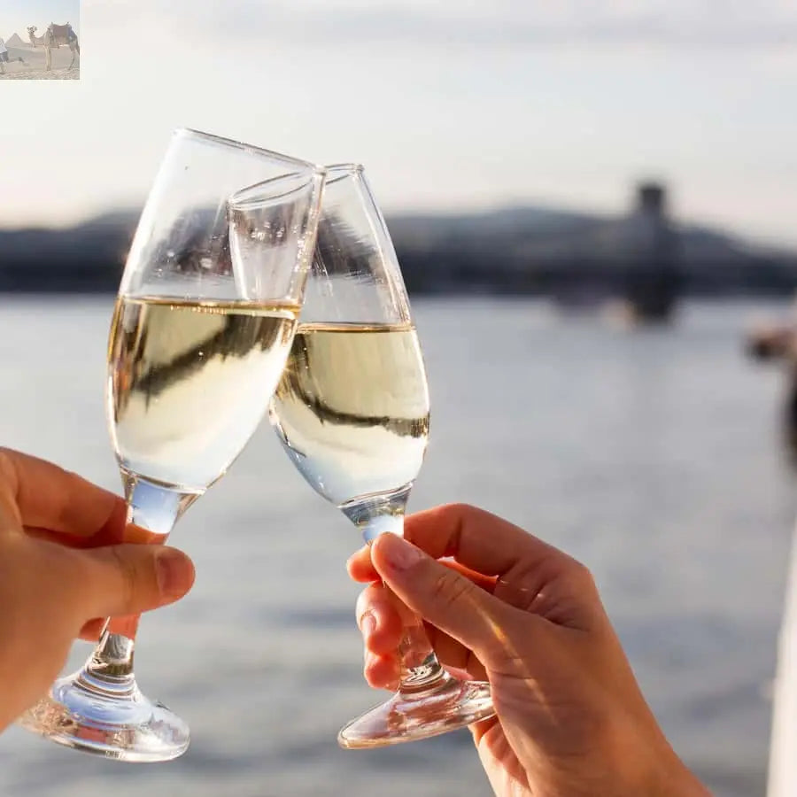 Budapest By Night Sightseeing Cruise with Welcome Drink 