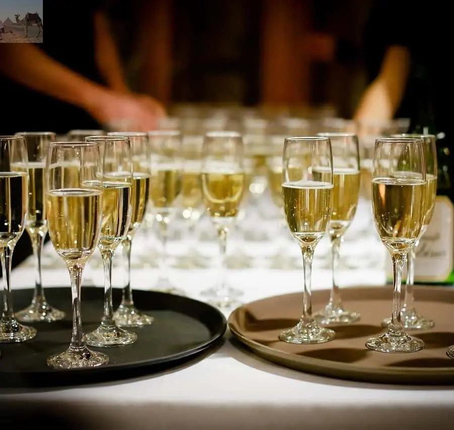 Budapest By Night Sightseeing Cruise with Welcome Drink 