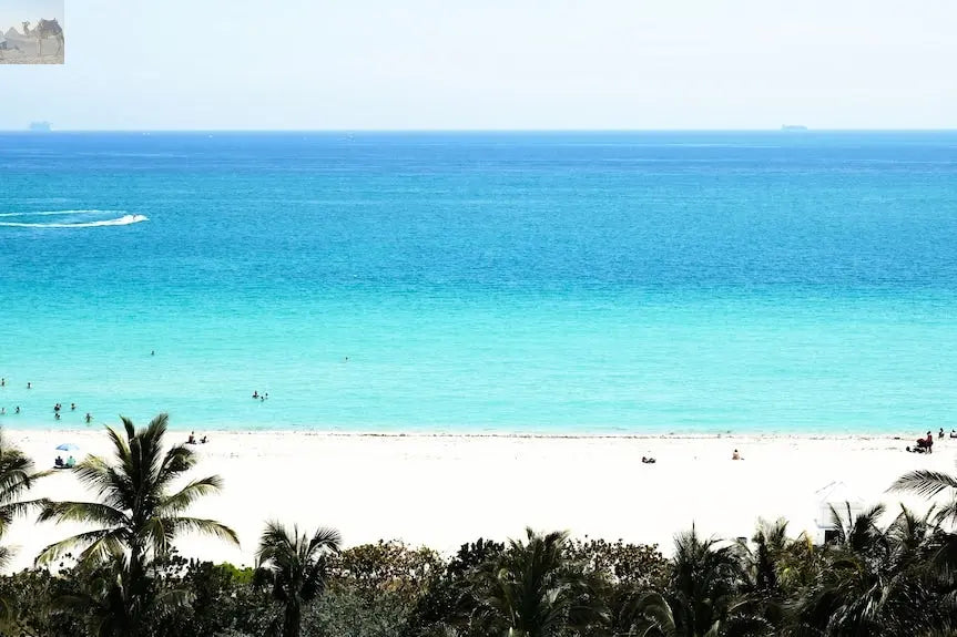 Cadillac Hotel Beach Club Autograph Collection 