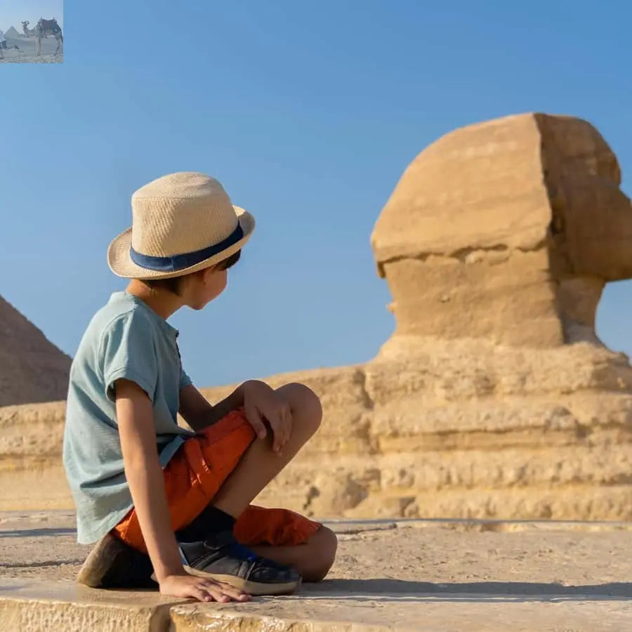 Cairo Grand Egyptian Museum Pyramids Sphinx Tour & Lunch 