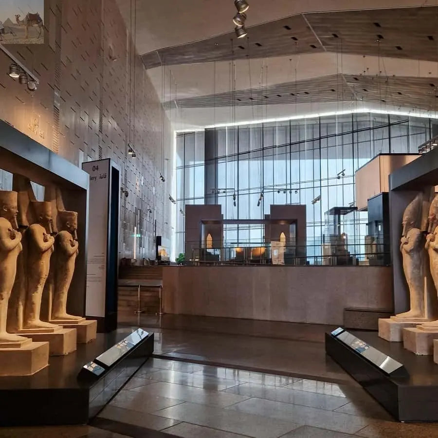 Cairo Grand Egyptian Museum Pyramids Sphinx Tour & Lunch 