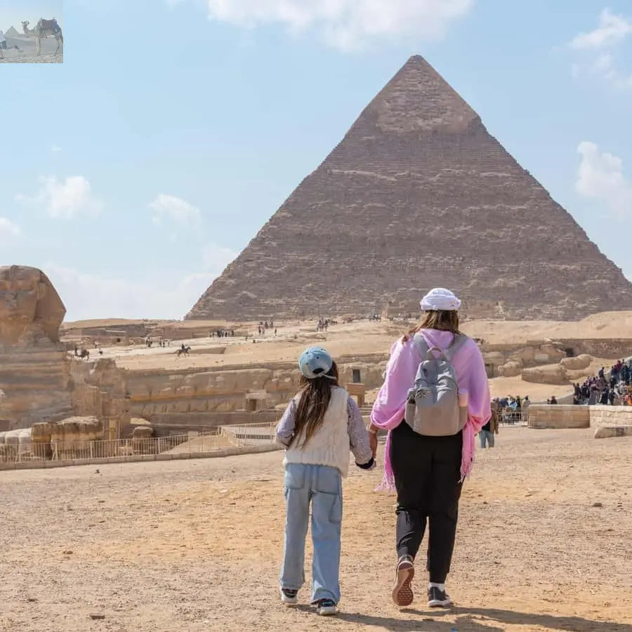 Cairo Grand Egyptian Museum Pyramids Sphinx Tour & Lunch 