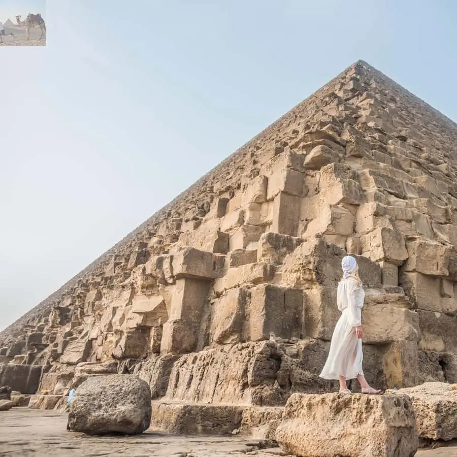 Cairo Grand Egyptian Museum Pyramids Sphinx Tour & Lunch 